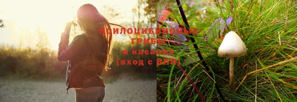 прущие крисы Нея